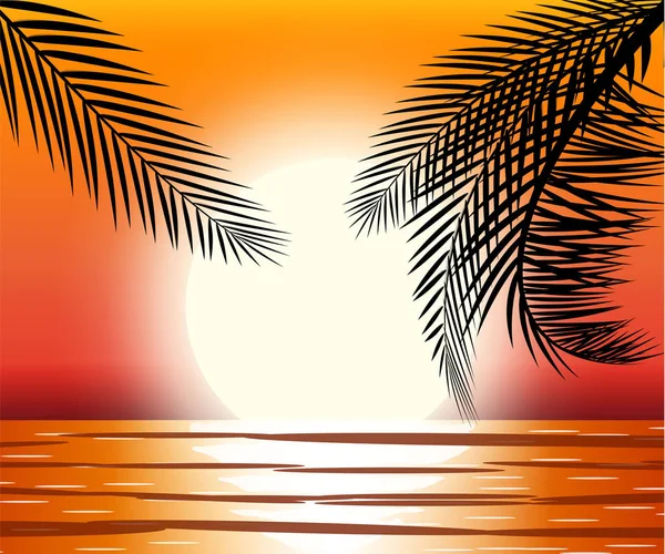 Silhouet van palm tree op strand. — Stockvector