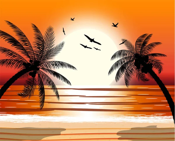 Silhouet van palm tree op strand. — Stockvector