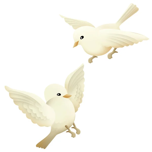 Two cute baby pigeons illustration isolated