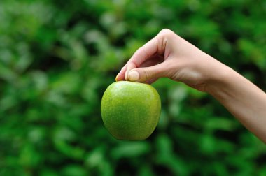 Bir el ile yeşil elma