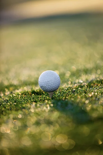 Pelota de golf en tee en la hierba . —  Fotos de Stock