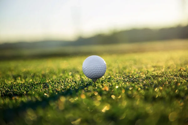 Golf topu tee çim üzerinde.