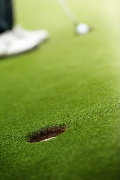 Golfista preparándose para un putt en el green . —  Fotos de Stock