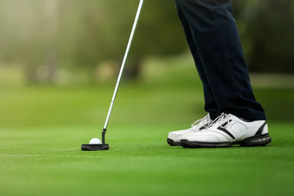 Golfer preparing for a putt on the green. — Stock Photo, Image