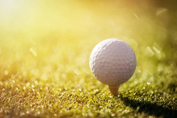 Golf ball on tee ready for shot. — Stock Photo, Image