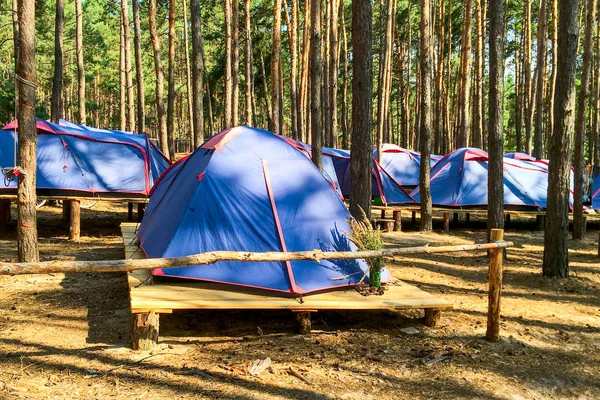 Tents of scouts or tourists in the forest on wooden platforms. — Stock Photo, Image