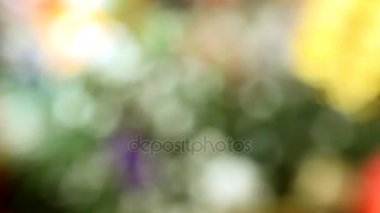 Ufuk ışıklı Noel arka plan bulanıklık. 