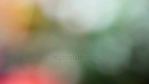 Fondo de Navidad borroso abstracto con luces desenfocadas . — Vídeo de stock