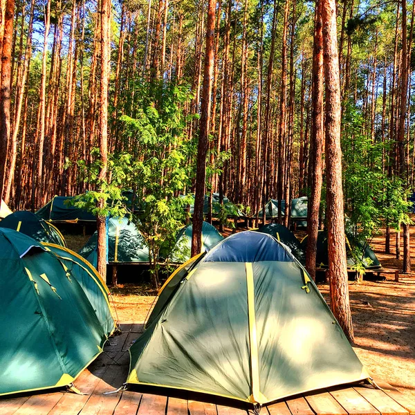 Carpas azules de exploradores o turistas en el bosque en bandeja de madera —  Fotos de Stock