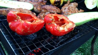 Marine lezzetli hazırlanıyor domuz eti ve sebze üzerinde bir Barbekü üzerinde. Ya da ızgara kavrulmuş Dana. Yakın çekim.