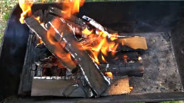 Leña Brillante Carbón Caliente Una Parrilla Fuego Para Cocinar Carne — Vídeos de Stock