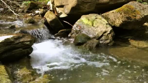 Snabb Fjällbäck Bland Stenar Solig Dag Sommaren Eller Våren Närbild — Stockvideo