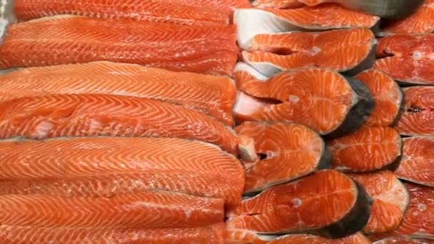 Seafood shop. Fresh fillet, chopped raw salmon, cut into pieces lies on store counter for sale. Food background. Close-up. — Stock Video