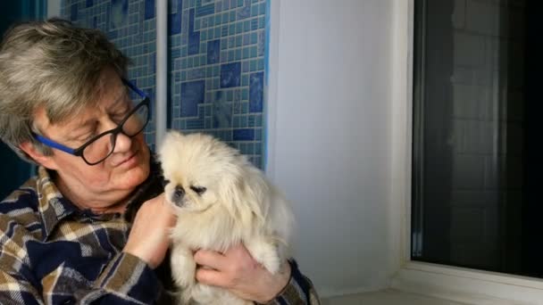 Sad senior adult man is sitting by window, stroking his white Pekingese dog. Perhaps he has no one but this dog and therefore he is lonely. Concept of human attachment to animal. Close-up. — 비디오