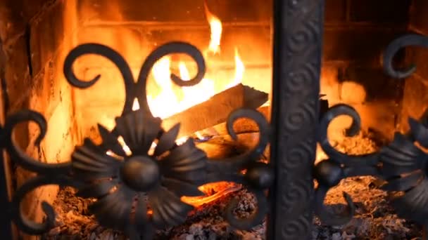 Troncos de madera ardiendo con llama naranja y brillando en chimenea de ladrillo con puerta de hierro. Cálido en casa, chimenea con leña. Enfoque selectivo . — Vídeos de Stock