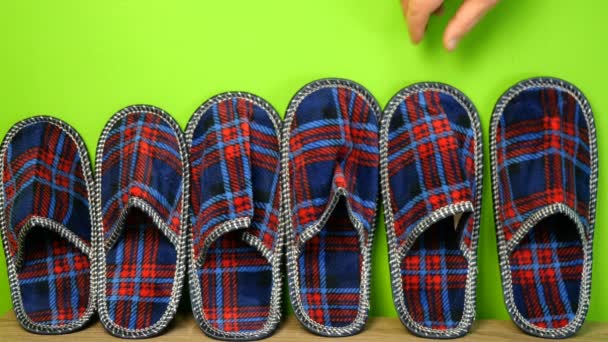 Human hand takes pair of checkered indoor slippers from a row of slippers, that stand against a green wall. Medium plan. — Stock Video