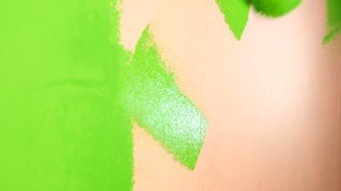 Human hand paints pink wall in bright green color with paint roller. Close-up.