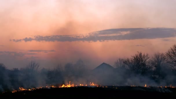 Gün batımında çayırda ya da köyün yakınındaki tarlada çimleri yakmak. Ateş dilleri ve kalın duman. Ekolojik zarar. Ortam planı. — Stok video