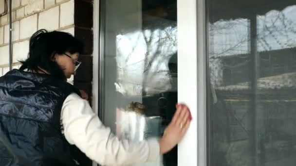 Femme adulte âgée engagée dans le nettoyage. Elle lave les vitres dans sa maison. Plan moyen . — Video