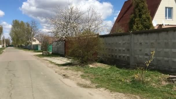 村や郊外の空の通りを道路に沿って実行しているシニアアクティブ女性。ウクライナでの隔離と自己分離のスポーツ。計画全体. — ストック動画