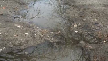 Kirli, toprak yol, su birikintileriyle dolu. Gök ve ağaçların yansıttığı su birikintilerinde. Yakın plan..