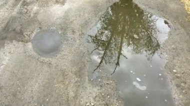 Kirli, toprak yol, su birikintileriyle dolu. Gök ve ağaçların yansıttığı su birikintilerinde. Yakın plan..