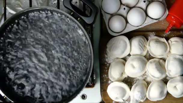 Dumplings en el tablero de la cocina espolvoreado con harina antes de comenzar a cocinar. Cocina casera. Comida de arriba abajo. Acostado. Vista superior . — Vídeos de Stock