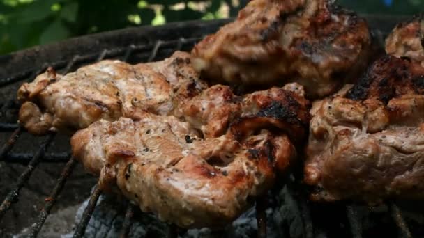 Carne Grelhada Churrasco Grelhando Suculentos Apetitosos Bifes Porco Grelha Cozinhar — Vídeo de Stock