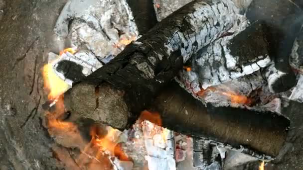 Leña Quemada Carbón Chimenea Fondo Caliente Con Llama Naranja Humo — Vídeos de Stock