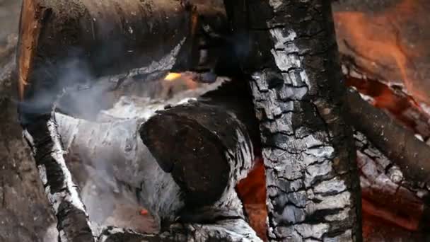 Leña Quemada Carbón Chimenea Fondo Caliente Con Llama Naranja Humo — Vídeos de Stock