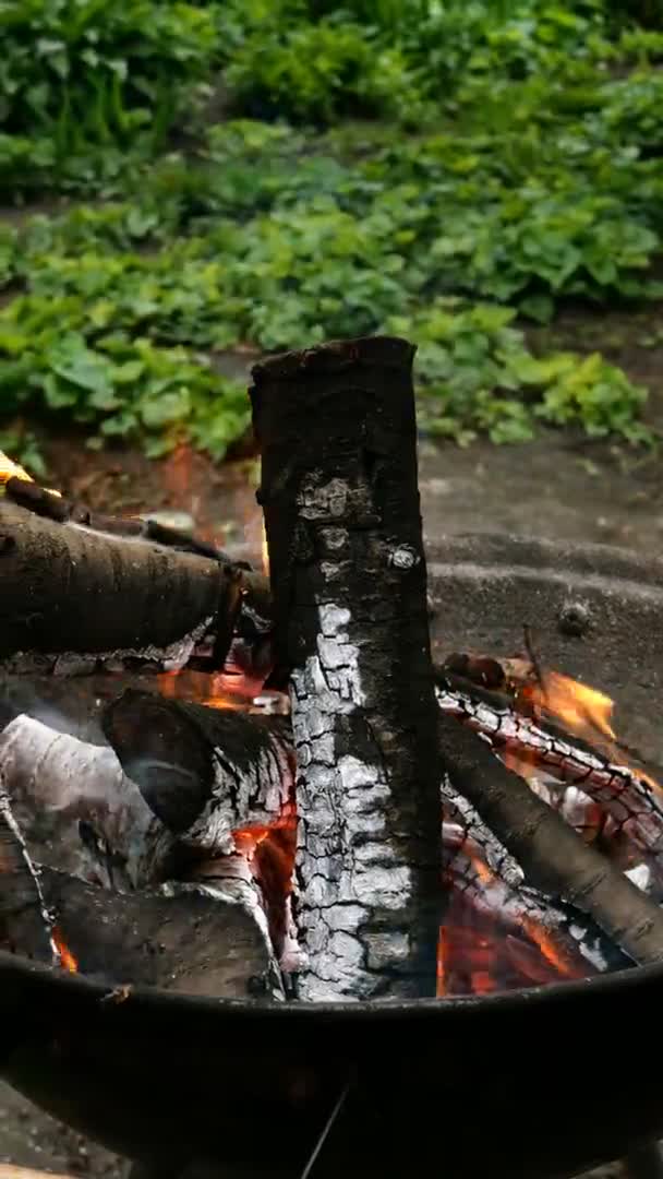 在壁炉里烧木柴和煤 带有橙色火焰 烟雾和火焰的热背景 火力背景 垂直录像 后续行动 — 图库视频影像
