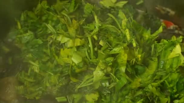 Guiso Vegetal Berenjena Picada Pimienta Otras Verduras Hierve Evapora Una — Vídeo de stock