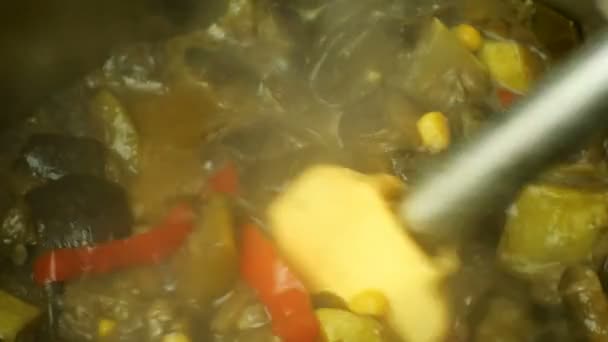 Guisado Vegetal Berinjela Picada Pimenta Outros Legumes Ferve Evapora Panela — Vídeo de Stock