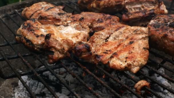 Barbecue Grilling Juicy Appetizing Pork Steaks Grate Cooking Food Weekend — Stock Video