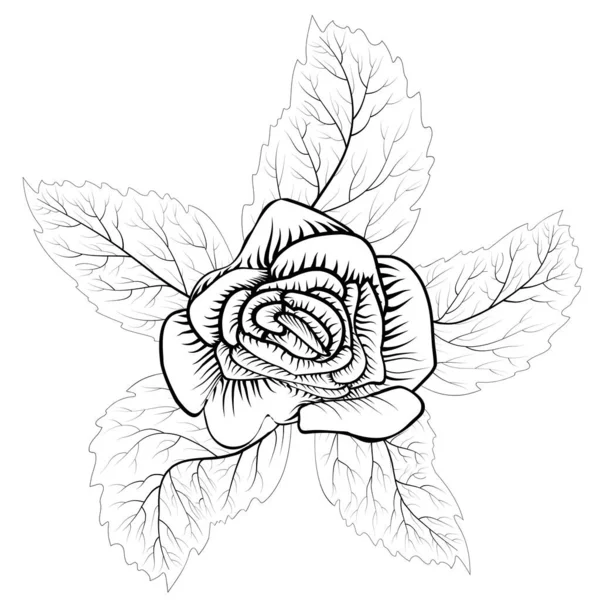 Мультяшна Троянда Прикраси Дизайну Прекрасна Троянда Чудовий Дизайн Будь Яких — стоковий вектор