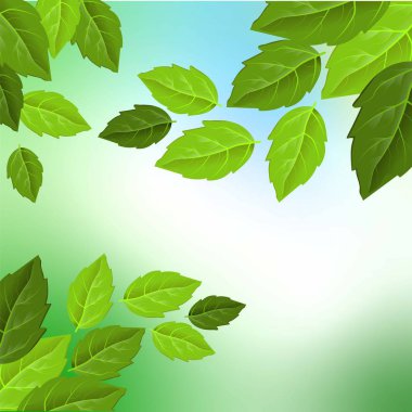 Gökyüzü arka planında güzel yapraklar, her amaç için harika bir tasarım. Açık havada yaz. Güzel doğa manzarası. Ağaç süsleme. Duvar kağıdı arka planı. Organik doku