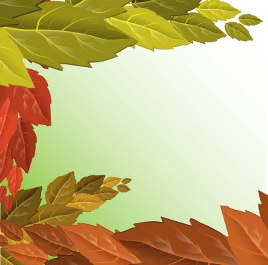 Vektör sonbahar çizimi. Güzel ağaç yaprakları mevsimsel arkaplanlara düşer. Sonbahar ağacı vektörü. Doğal illüstrasyon