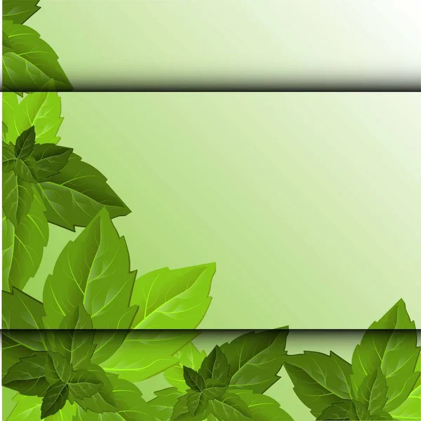 Hojas Verdes Coloridas Hermoso Estilo Sobre Fondo Claro Hoja Vector — Vector de stock