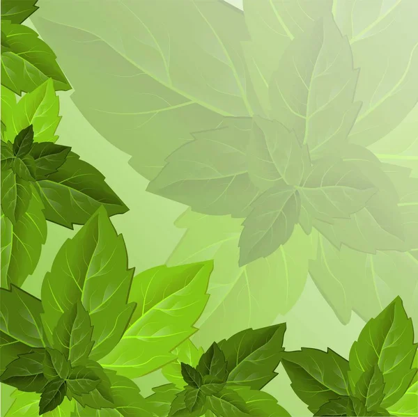 Follaje Forestal Textura Hoja Plantilla Marco Hojas Verdes Hermosa Plantilla — Vector de stock