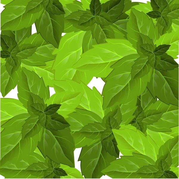 Folhagem Florestal Textura Folha Folhas Verdes Moldura Modelo Modelo Design — Vetor de Stock