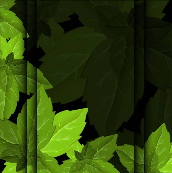 Hojas Verdes Coloridas Hermoso Estilo Sobre Fondo Claro Hoja Vector — Vector de stock