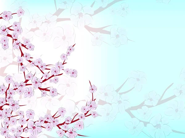 Sakura auf hellem Hintergrund. Sakura-Vektorblume. Vektorfloraler Druck. blühende Kirschblütenblätter. Japanische Kultur. Blumenschmuck. blühender Baum. Banner-Vorlage. — Stockvektor