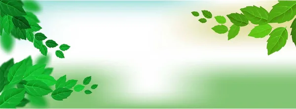 Realistische groene bladeren web template op groene achtergrond. Vector natuurlijke illustratie. Art realistische groene bladeren voor decoratie ontwerp. Bladtextuur. Vector achtergrond, horizontale banner — Stockvector