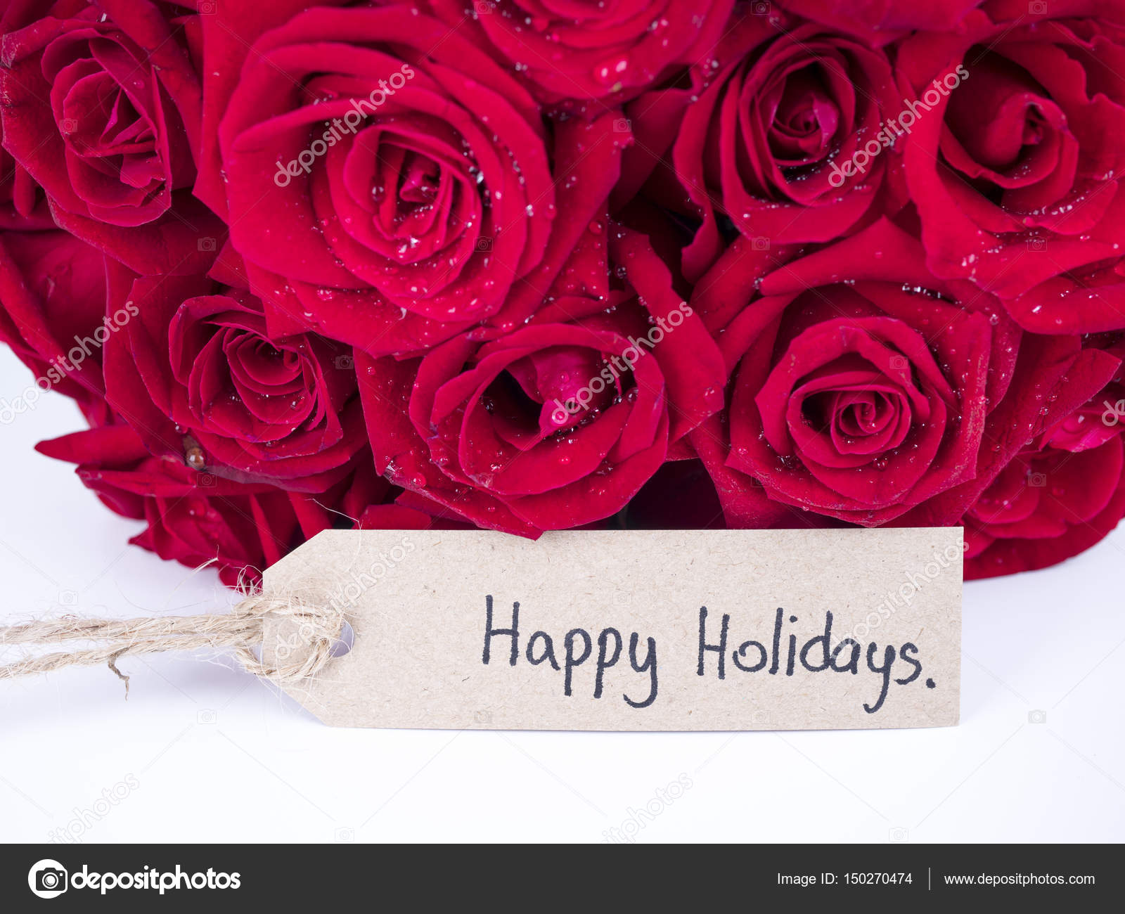 red holiday flowers