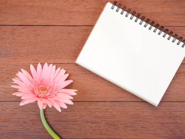 Tatlı pembe Gerbera çiçek ve boş defter 2