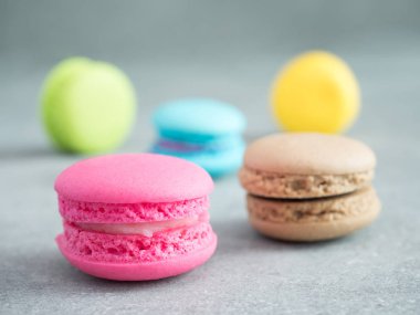 Portre renkli macaroons 5