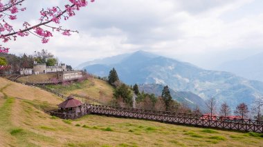 Cingjing Farm, Taichung city, Tayvan 3 dağ manzarası