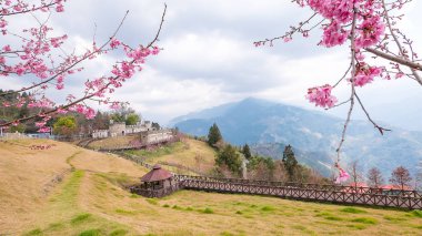 Cingjing Farm, Taichung city, Tayvan 4 dağ manzarası