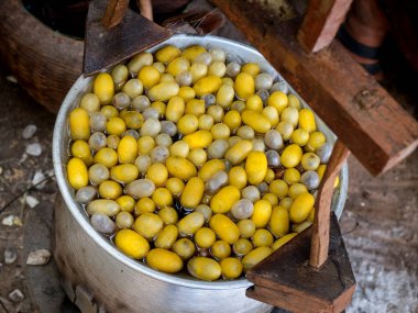 İpekböceği koza 3 tencerede kaynar
