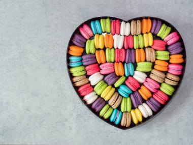 Fransız renkli macarons 14